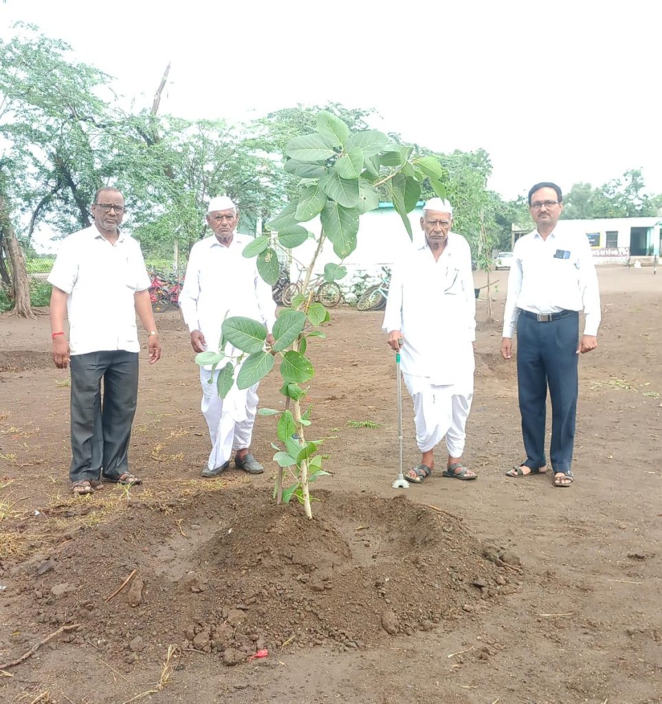 नि.पं.पाटील विद्यालय पळासखेडे (मि)शाळेत वृक्षारोपण